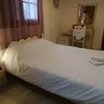 Traditional Cozy Tatil Evi
